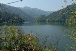 爆料罗村水库最新消息视频,揭秘视频曝光惊人真相！