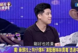 廖玮琪最新爆料新闻,揭秘娱乐圈惊人内幕！”