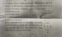 桃园皮肤爆料最新消息是真的吗,最新消息真实性揭秘